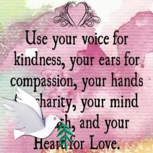 Meet your Posher, Aisha